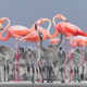 Imagen para el artículo titulado Las fotos ganadoras del concurso anual de National Geographic muestran un planeta tan hermoso que no lo merecemos